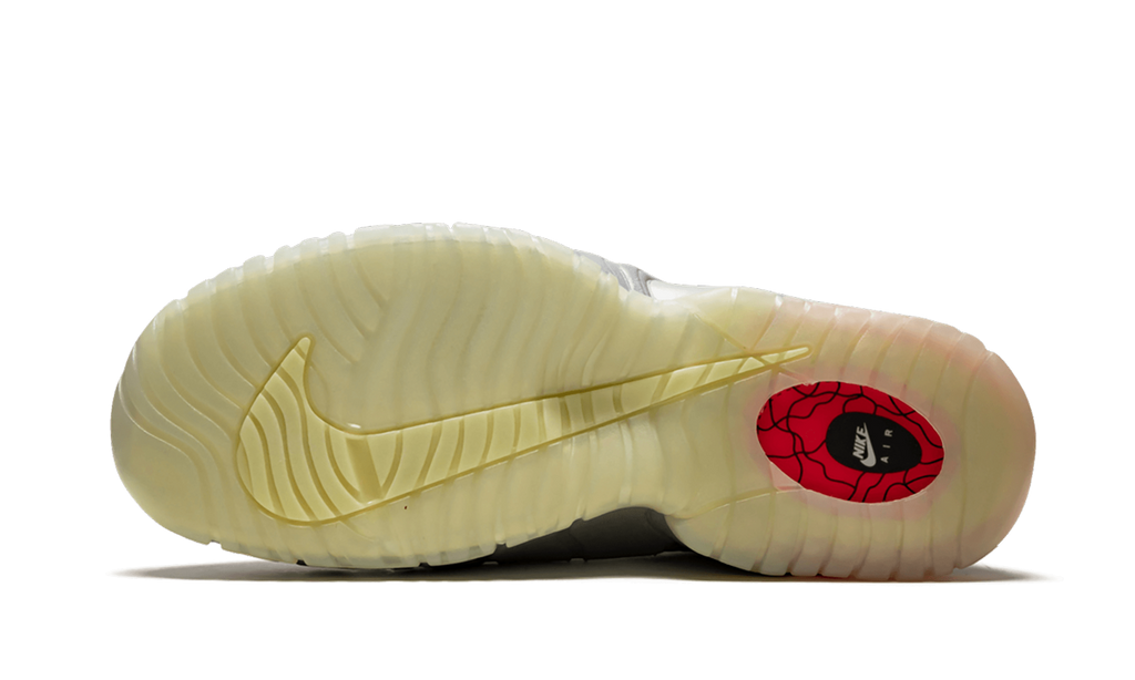 Air Max Penny LE DB (GS) "Doernbecher" 728591 001