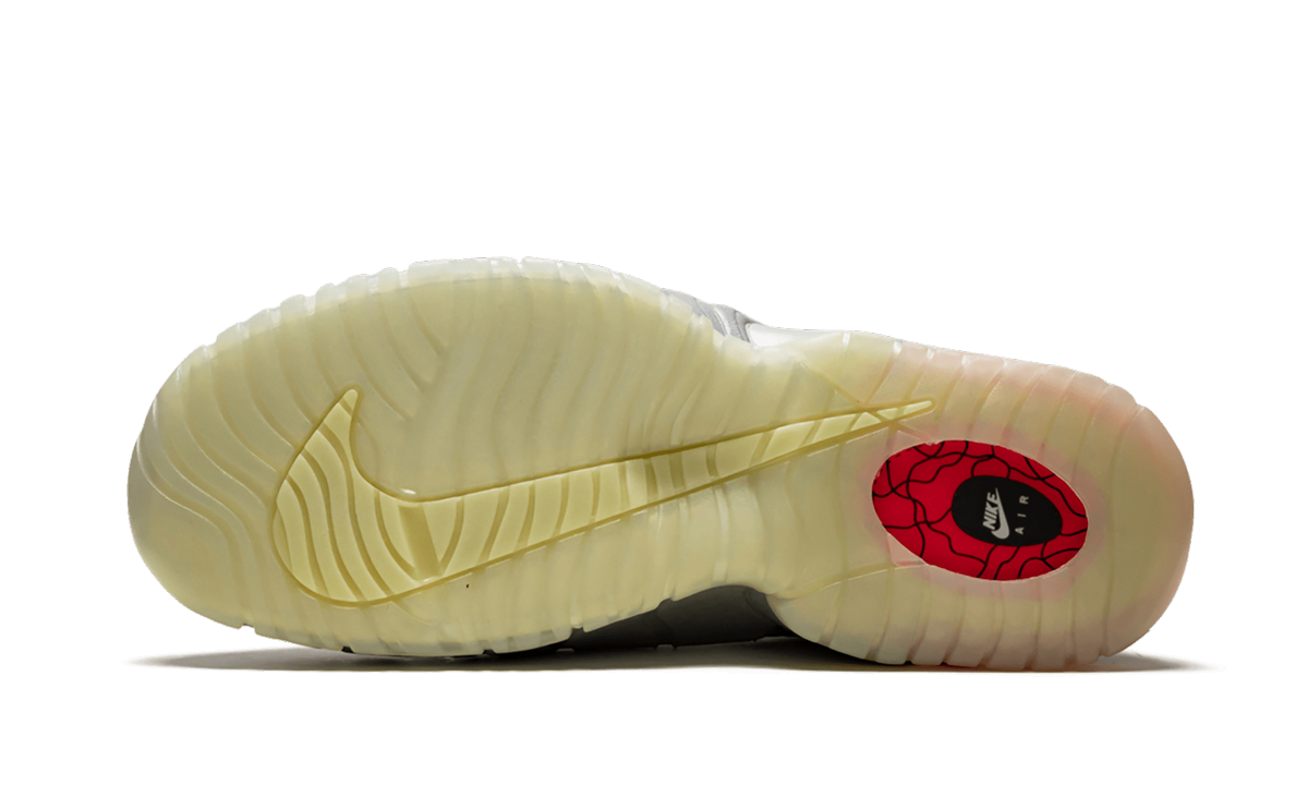 Air Max Penny LE DB (GS) "Doernbecher" 728591 001