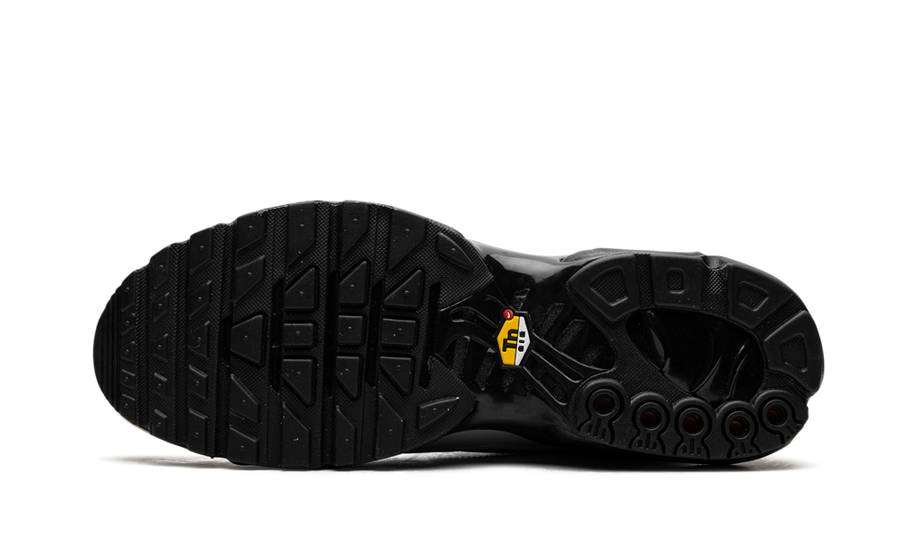 Air Max Plus "Wolf Grey" HM6850 001