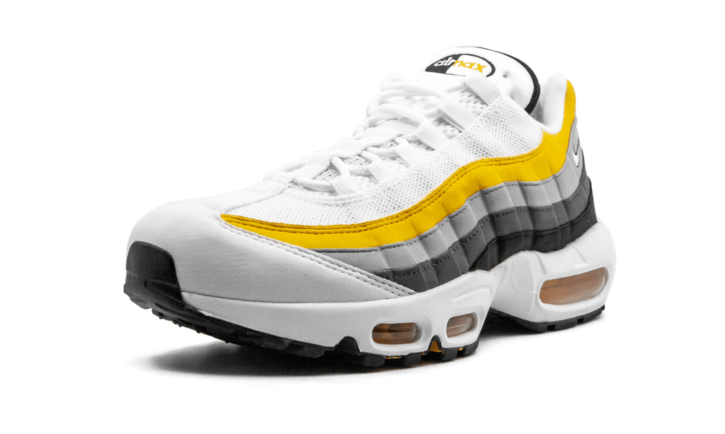 Air Max 95 CD7495 100