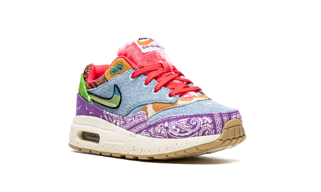 Air Max 1 PS "Concepts Far Out" DR2362 100