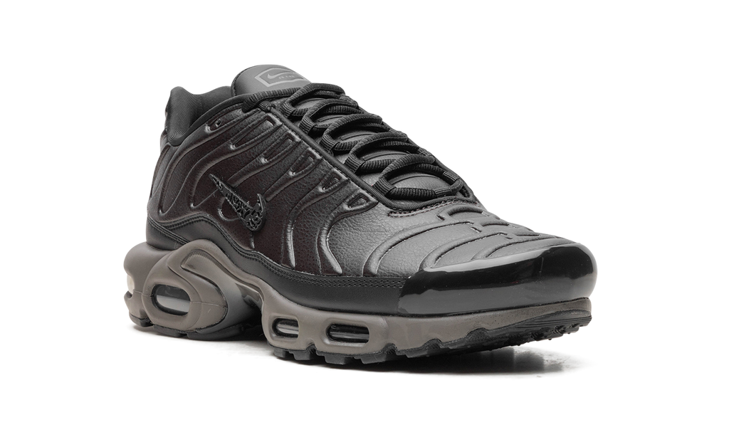 Air Max Plus "Black Tea / Petra Brown" "Black Tea / Petra Brown" HJ4519 200