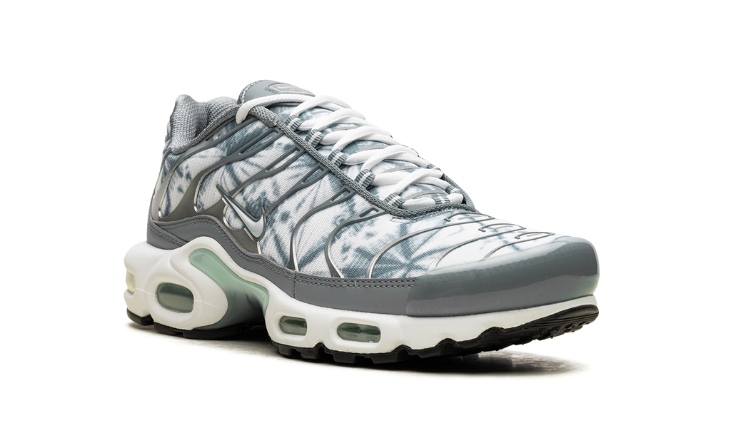 Air Max Plus "Waterway" FV0394 300