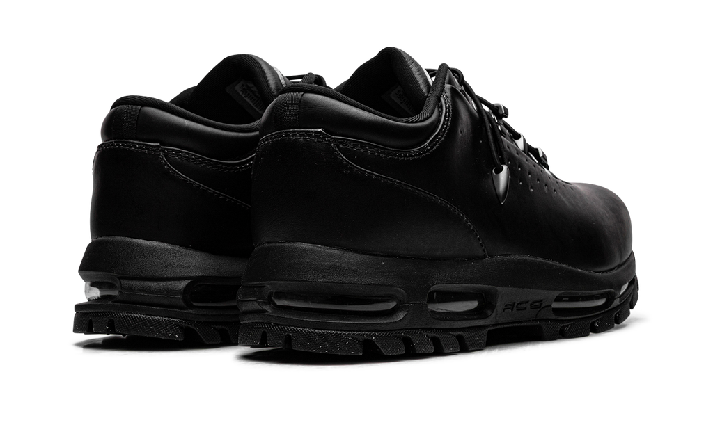 Air Max Goadome Low SP "Black Metallic Silver Pale Citron" IR2173 001