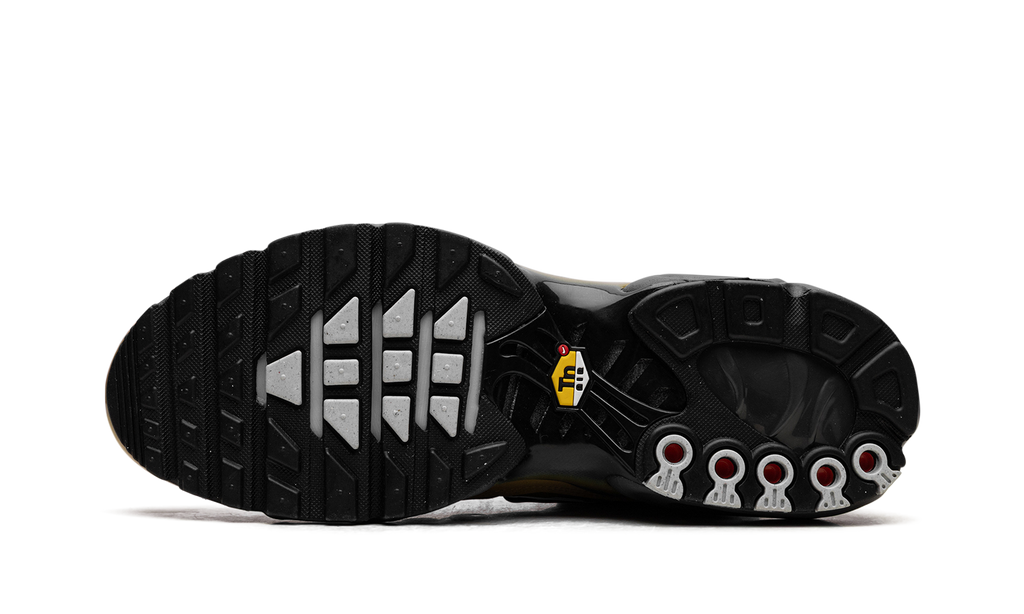 AIR MAX PLUS "Black" FB9722-700