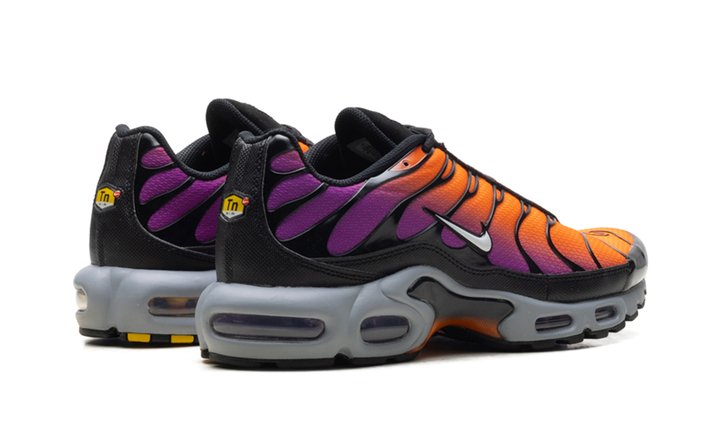 Air Max Plus "Desert Sunset" DM0032 014