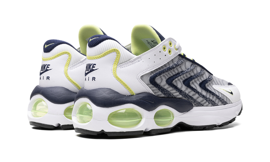 Air Max TW "Navy" DQ3984 101
