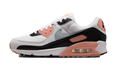 AIR MAX 90 ' WMNS "APRICOT AGATE (W)" DH8010 109
