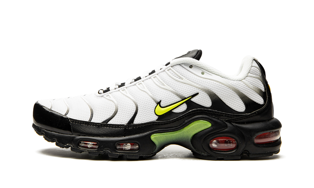 Air Max Plus "Retro Future" AJ2013 100