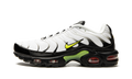 Air Max Plus "Retro Future" AJ2013 100