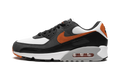 Air Max 90 "Starfish" DM0029 101