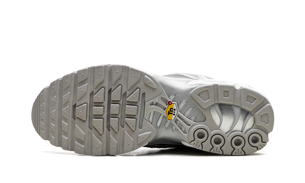 Air Max Plus "Metallic Silver" Fj1012 095