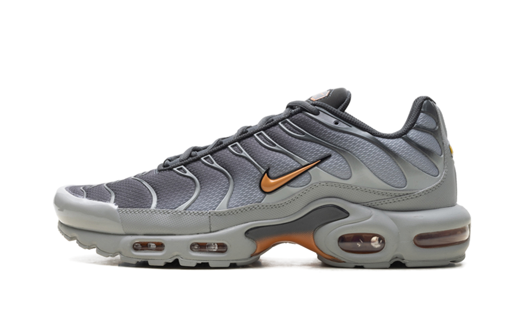 Air Max Plus "Light Smoke Grey Hot Curry" DM0032 037