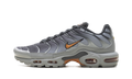 Air Max Plus "Light Smoke Grey Hot Curry" DM0032 037