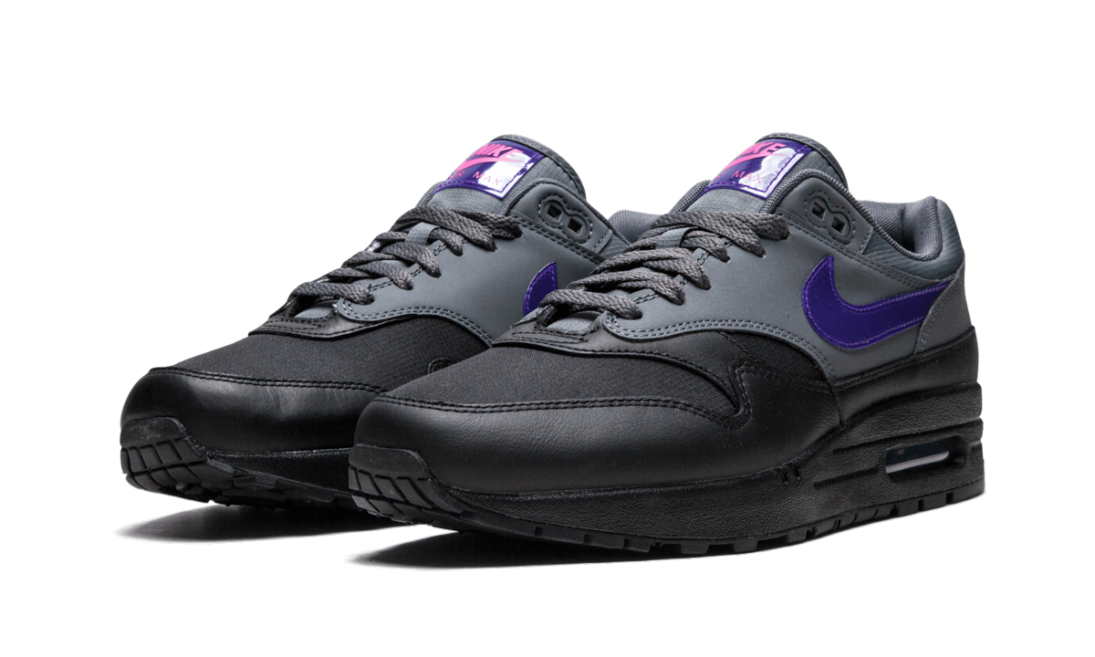 Air Max 1 "Fierce Purple" AR1249 002