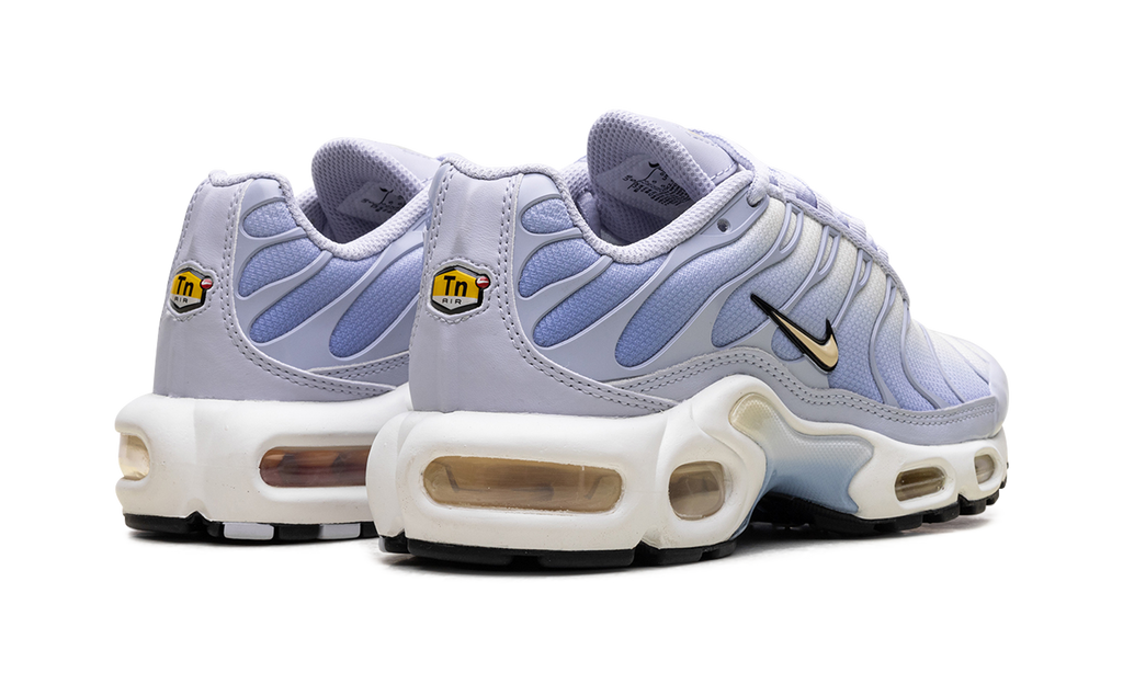 Air Max Plus WMNS "Daybreak" DZ3670 004