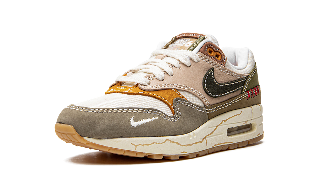 Air Max 1 Premium "Wabi-sabi" DQ8656 133