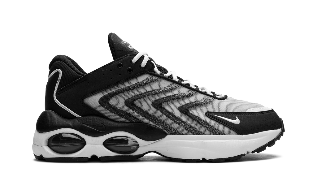 Air Max TW "Black White" DQ3984 001