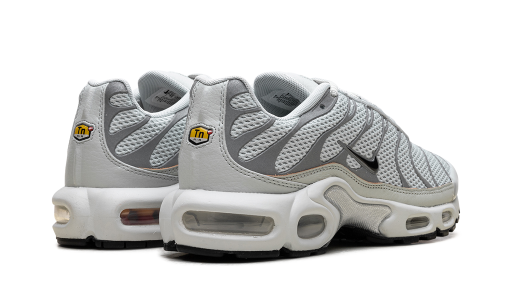 Air Max Plus WMNS "Light Silver" FV8480 002