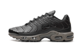 Air Max Plus "Black Tea / Petra Brown" "Black Tea / Petra Brown" HJ4519 200