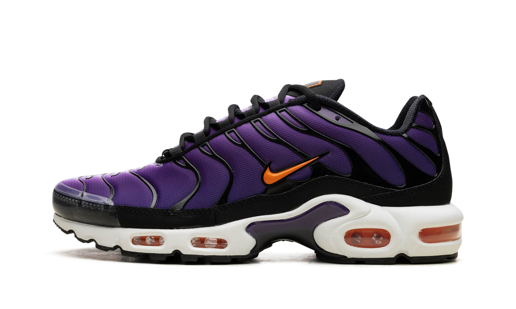 Air Max Plus "Voltage Purple" DX0755 500