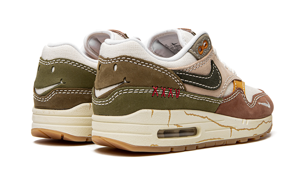 Air Max 1 Premium "Wabi-sabi" DQ8656 133