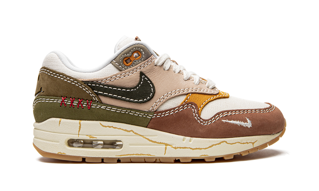 Air Max 1 Premium "Wabi-sabi" DQ8656 133