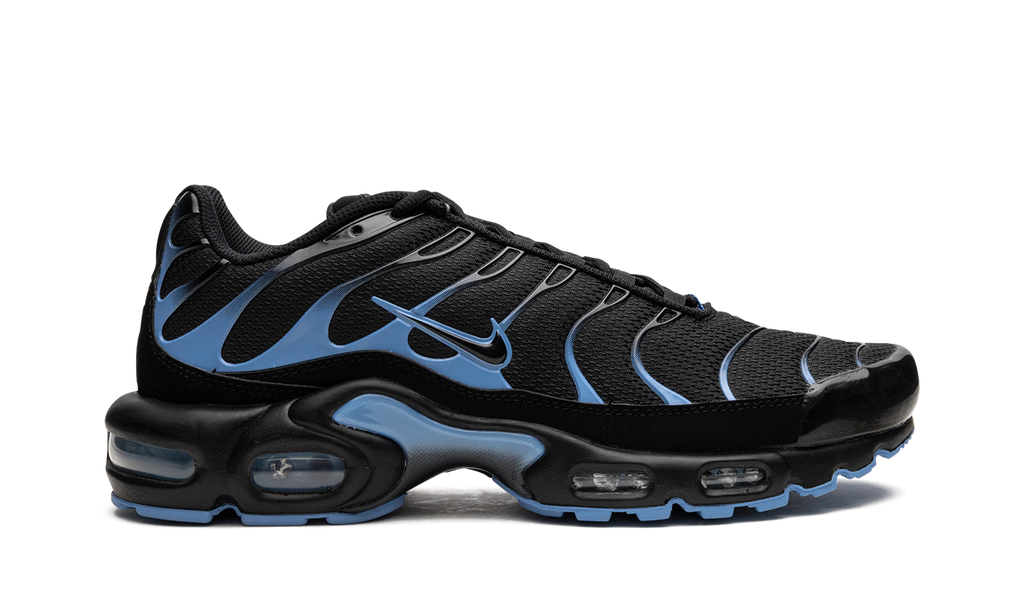 Air Max Plus "Black / University Blue" DM0032 005