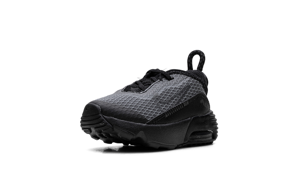 Air Max 2090 TD "Black Wolf Grey" CU2092 001