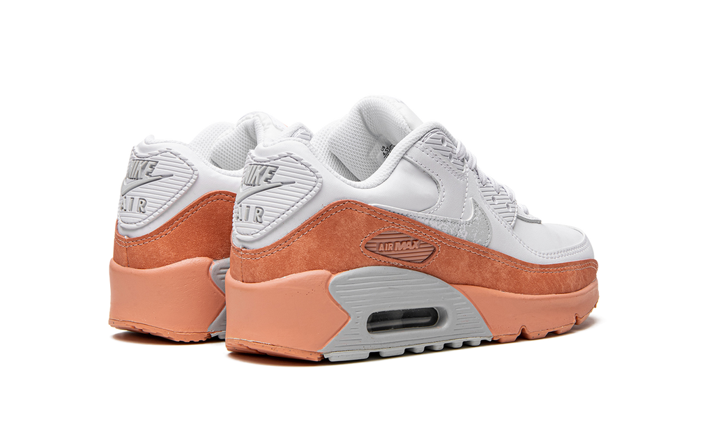 Air Max LTR 90 GS "White Light Madder Root" DM0956 100