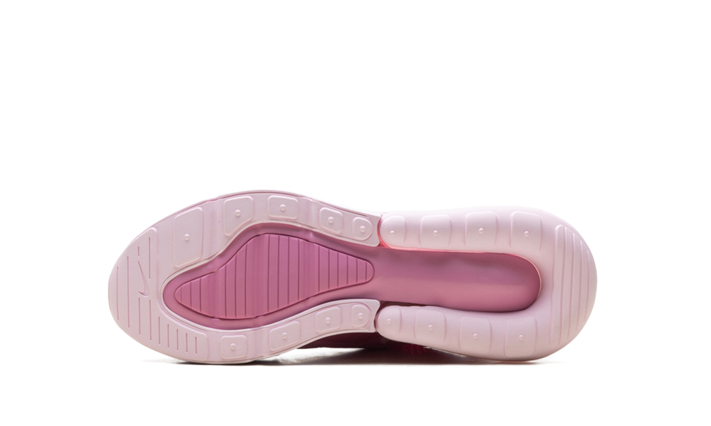Air Max 270 GS "Pink Foam" HQ1553 646