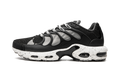 Air Max Plus Terrascape "Off Noir" DN4590 001