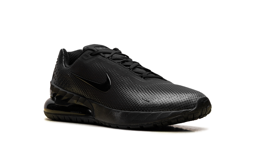 Air Max Phoenix "Black Anthracite" FZ5307 004