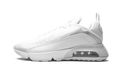 Air Max 2090 "Triple White" BV9977 100