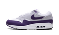 Air Max 1 SC "Field Purple" DZ4549 101