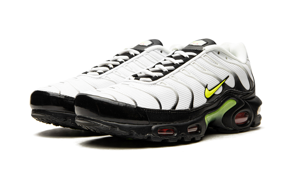 Air Max Plus "Retro Future" AJ2013 100