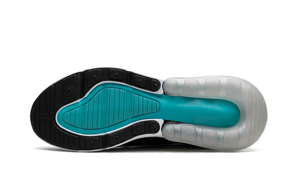 AIR MAX 270 WMNS "Dusty Cactus" AH6789 115