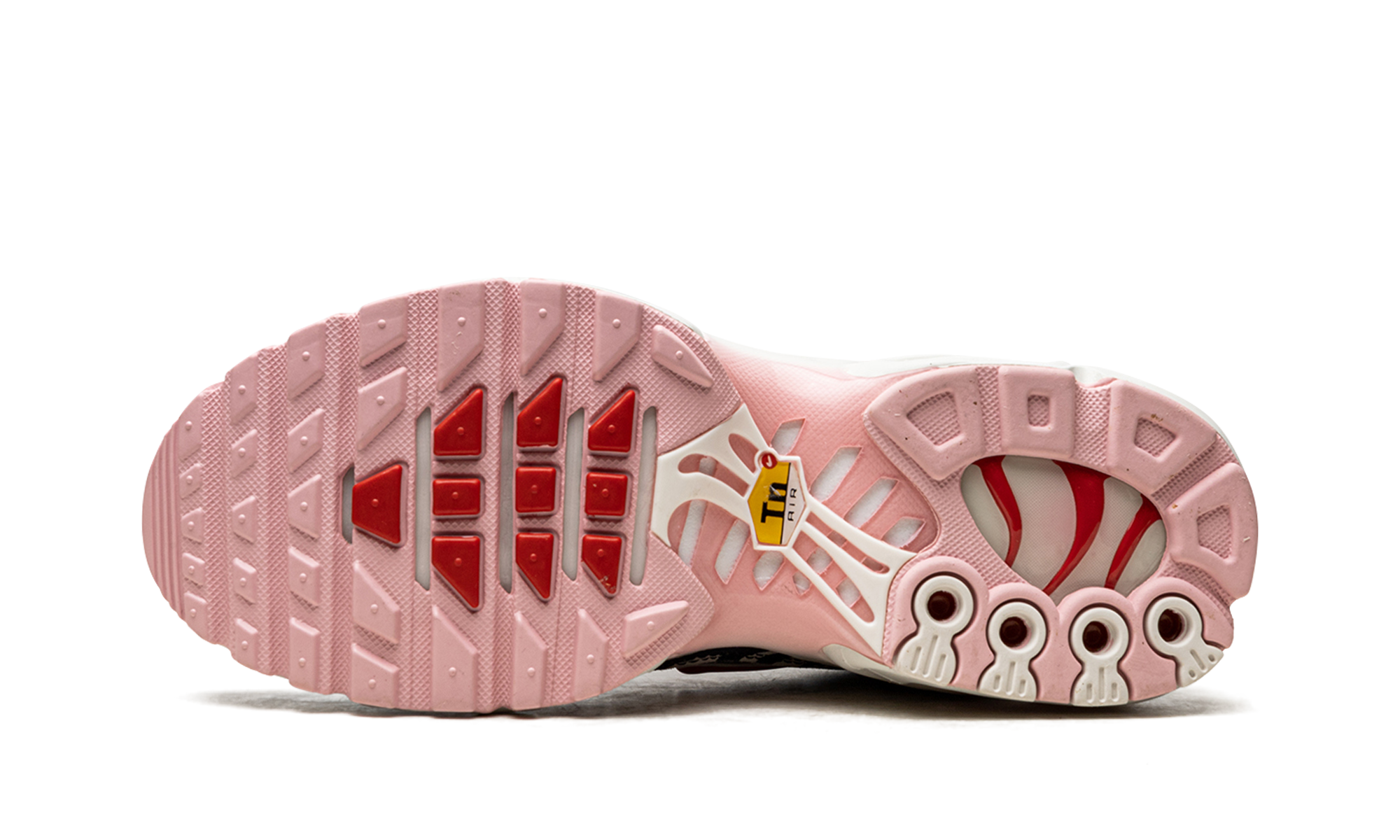 AIR MAX PLUS MNS WMNS "Animal Instinct" DZ4842 600