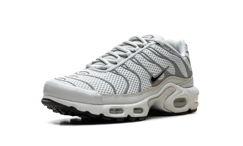 Air Max Plus WMNS "Light Silver" FV8480 002