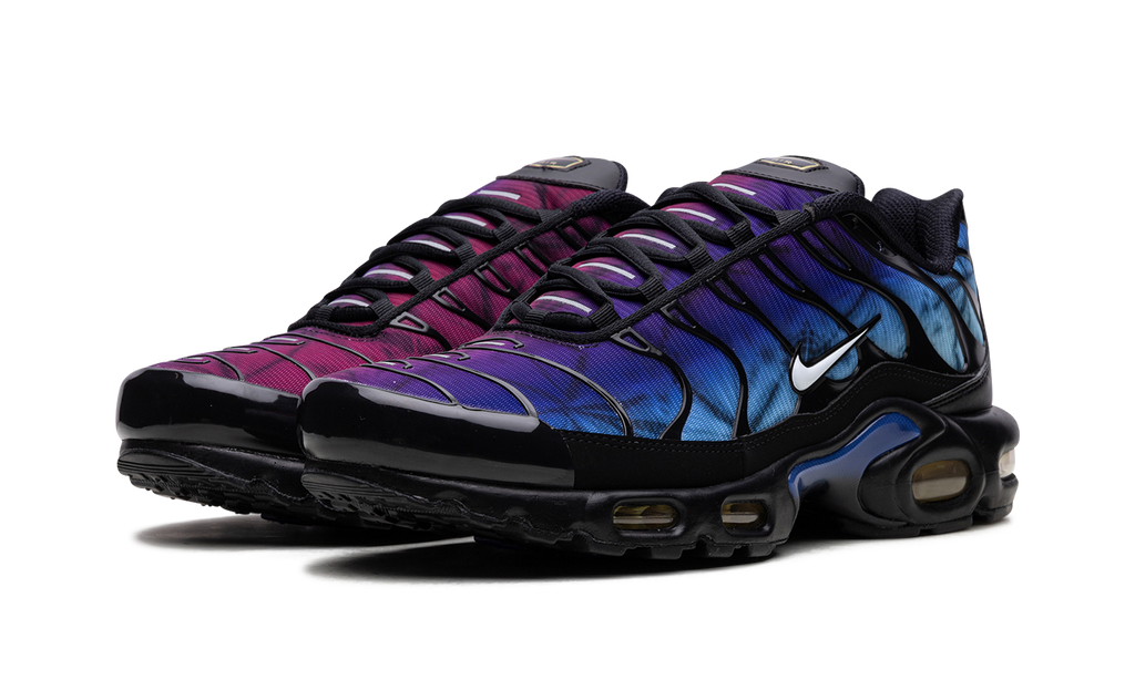 Air Max Plus "25th Anniversary" FV0393 001