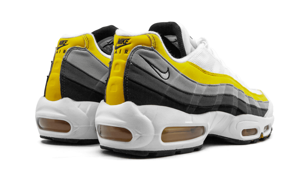 Air Max 95 CD7495 100